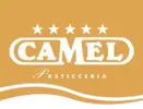 Camel_logo-300x229.png